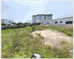  2025Ÿ��1366  �������