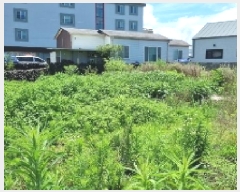  2025Ÿ��1366  �������