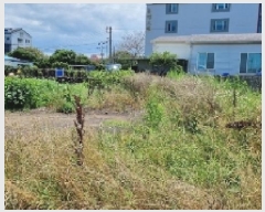  2025Ÿ��1366  �������