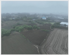  2025Ÿ1390  ֽ  ȭ 1042      (1)