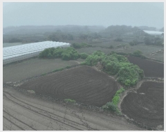  2025Ÿ1390  ֽ  ȭ 1042      (1)