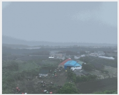  2025Ÿ1390  ֽ  ȭ 1042      (1)