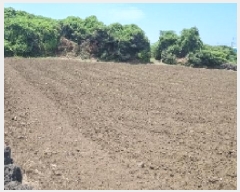  2025Ÿ1390  ֽ  ȭ 1042      (1)