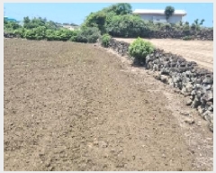  2025Ÿ1390  ֽ  ȭ 1042      (1)