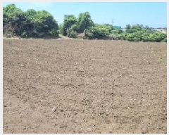  2025Ÿ1390  ֽ  ȭ 1042      (1)