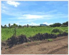  2025Ÿ��1418 ���� �������� ������ ���︮ 1257      ����(��1)���