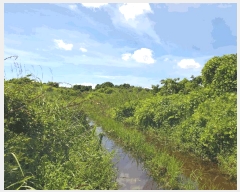  2025Ÿ��1418 ���� �������� ������ ���︮ 1257      ����(��1)���