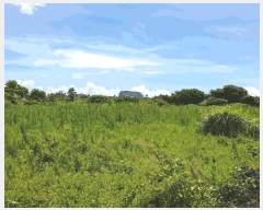  2025Ÿ��1418 ���� �������� ������ ���︮ 1257      ����(��1)���