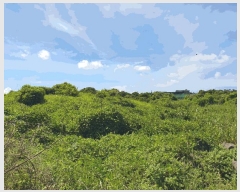  2025Ÿ��1418 ���� �������� ������ ���︮ 1257      ����(��1)���