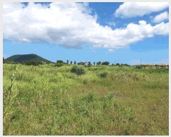  2025Ÿ��1418 ���� �������� ������ ���︮ 1257      ����(��1)���