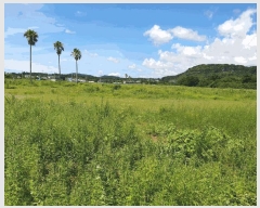  2025Ÿ��1418 ���� �������� ������ ���︮ 1257      ����(��1)���