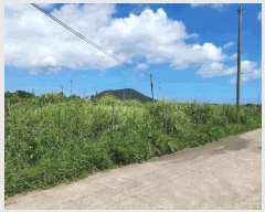  2025Ÿ��1418 ���� �������� ������ ���︮ 1257      ����(��1)���