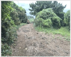  2025Ÿ1426    ︮ 2068      (Ӿ)