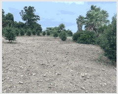  2025Ÿ1426    ︮ 2068      (Ӿ)