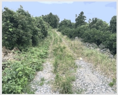  2025Ÿ1426    ︮ 2068      (Ӿ)