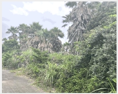  2025Ÿ1426    ︮ 2068      (Ӿ)