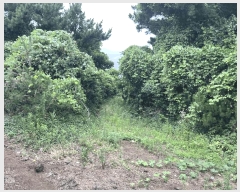  2025Ÿ1426    ︮ 2068      (Ӿ)