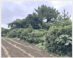  2025Ÿ1426    ︮ 2068      (Ӿ)