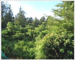  2025Ÿ��1435  �����