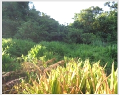  2025Ÿ��1435  �����