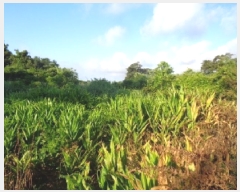  2025Ÿ��1435  �����