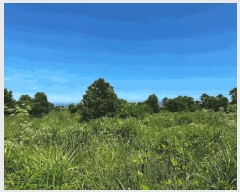  2025Ÿ1454    ︮ 1274      (1)