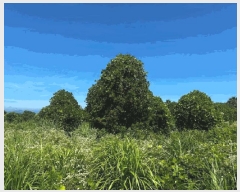  2025Ÿ1454    ︮ 1274      (1)