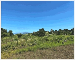  2025Ÿ1454    ︮ 1274      (1)