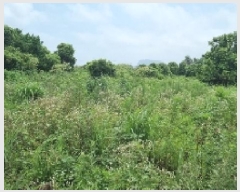  2025Ÿ1454    ︮ 1274      (1)