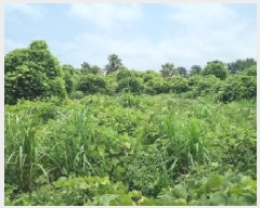  2025Ÿ1454    ︮ 1274      (1)