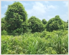  2025Ÿ1454    ︮ 1274      (1)