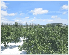  2025Ÿ��1462  �Ӿ߰��