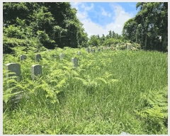  2025Ÿ��1462  �Ӿ߰��