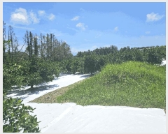  2025Ÿ��1462  �Ӿ߰��