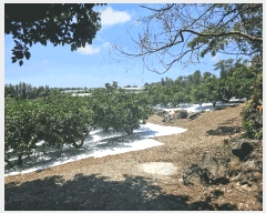  2025Ÿ��1462  �Ӿ߰��