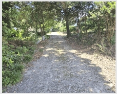  2025Ÿ��1462  �Ӿ߰��