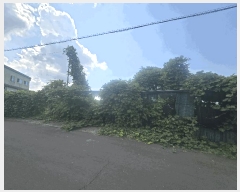  2025Ÿ��1484 ���� ���ֽ� ������ 1600-3       ����(�Ӿ�)���