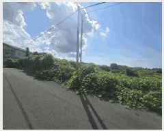  2025Ÿ��1484 ���� ���ֽ� ������ 1600-3       ����(�Ӿ�)���