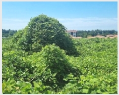  2025Ÿ��1484 ���� ���ֽ� ������ 1600-3       ����(�Ӿ�)���