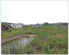  2025Ÿ��1489  �����