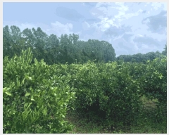  2025Ÿ��1496 ���� ���ֽ� ��õ�� ���̸� 1997      ����(������)���