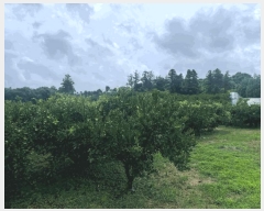  2025Ÿ��1496 ���� ���ֽ� ��õ�� ���̸� 1997      ����(������)���