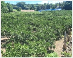  2025Ÿ��1496 ���� ���ֽ� ��õ�� ���̸� 1997      ����(������)���