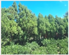  2025Ÿ��1496 ���� ���ֽ� ��õ�� ���̸� 1997      ����(������)���