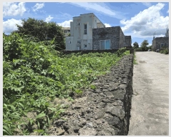  2025Ÿ��1502 ���� ���ֽ� �ֿ��� �����ϸ� 1965-1      ����(������)���