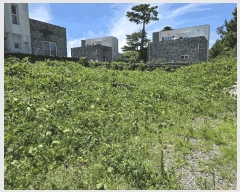  2025Ÿ��1502 ���� ���ֽ� �ֿ��� �����ϸ� 1965-1      ����(������)���