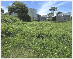  2025Ÿ��1502 ���� ���ֽ� �ֿ��� �����ϸ� 1965-1      ����(������)���