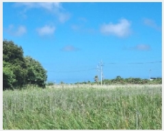  2025Ÿ��1509 ���� ���ֽ� ������ �۴縮 91      ����(��1)���