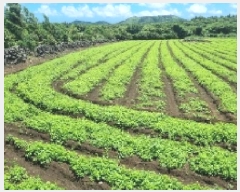  2025Ÿ��1509 ���� ���ֽ� ������ �۴縮 91      ����(��1)���