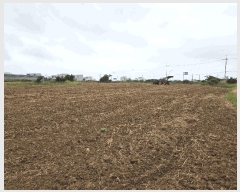  2025Ÿ��1535  �����